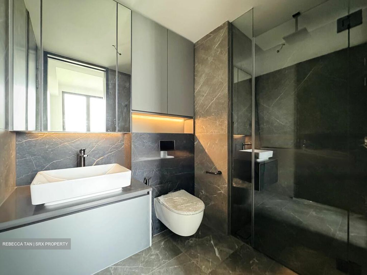 Irwell Hill Residences (D9), Apartment #466580381